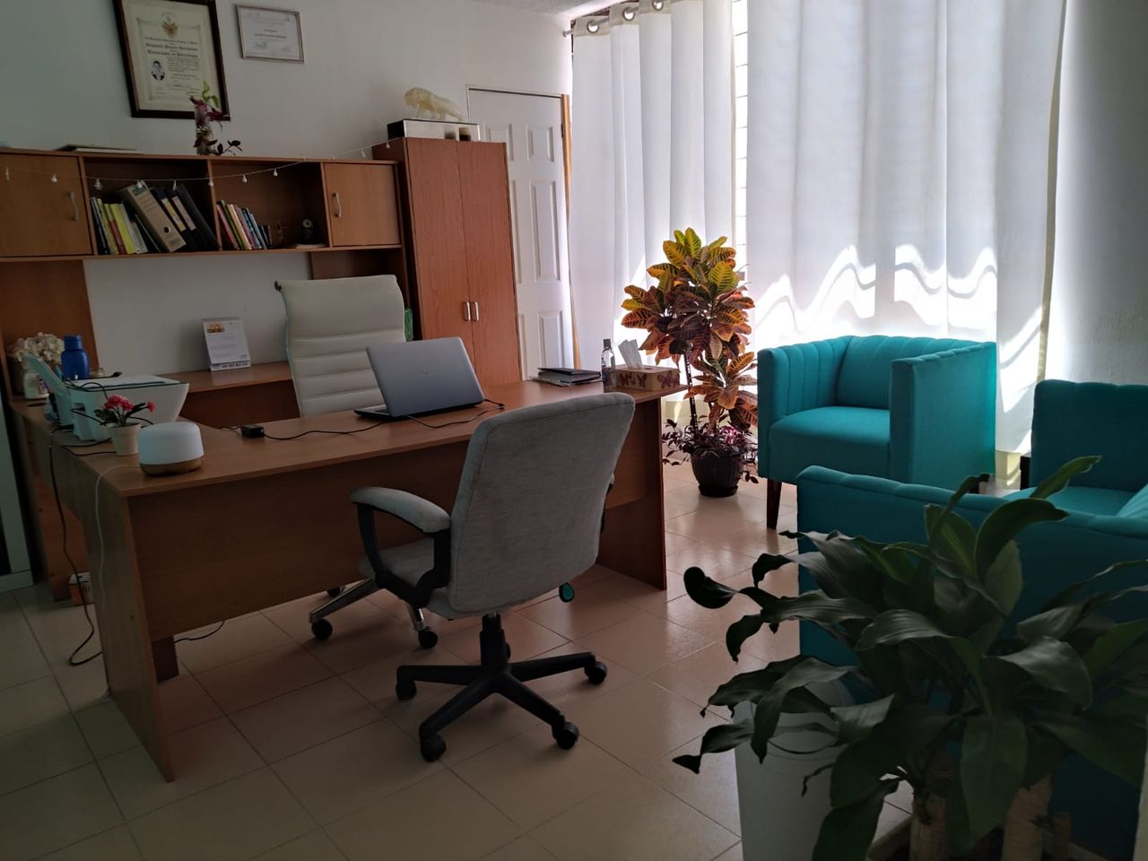 Elizabeth Pizarro Hernández-3