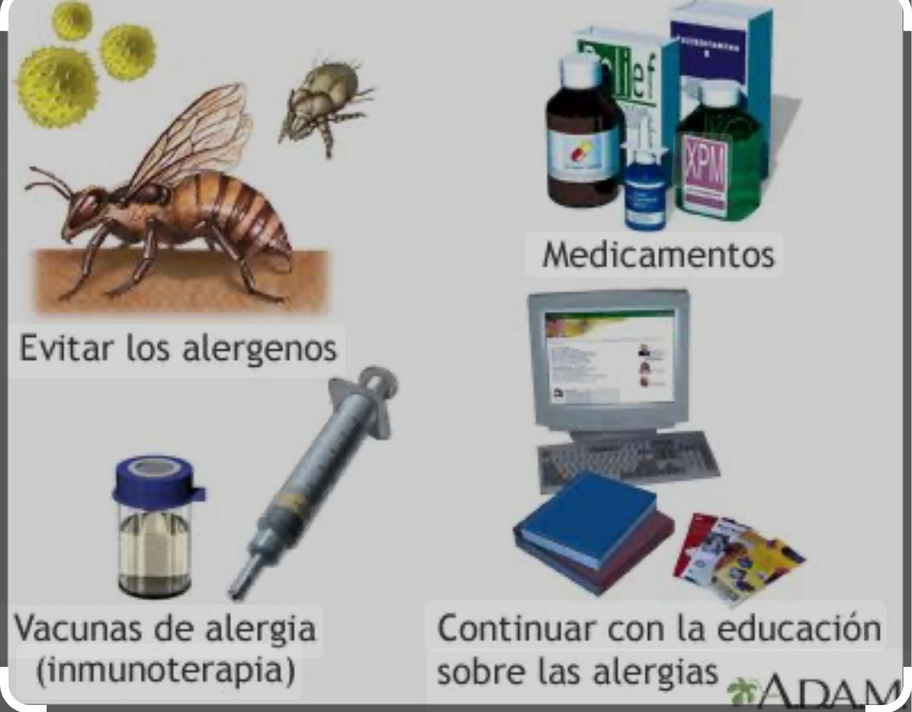 Janeth M. Lizárraga Gallo-5