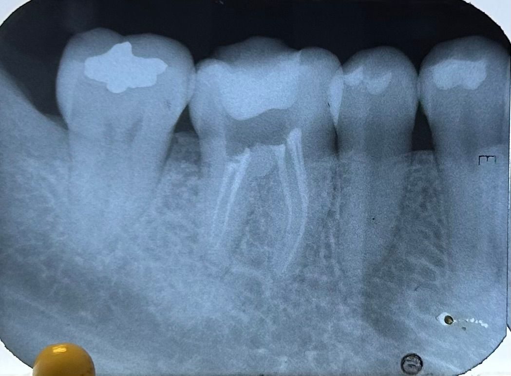 Fernanda Pérez Murrieta-7