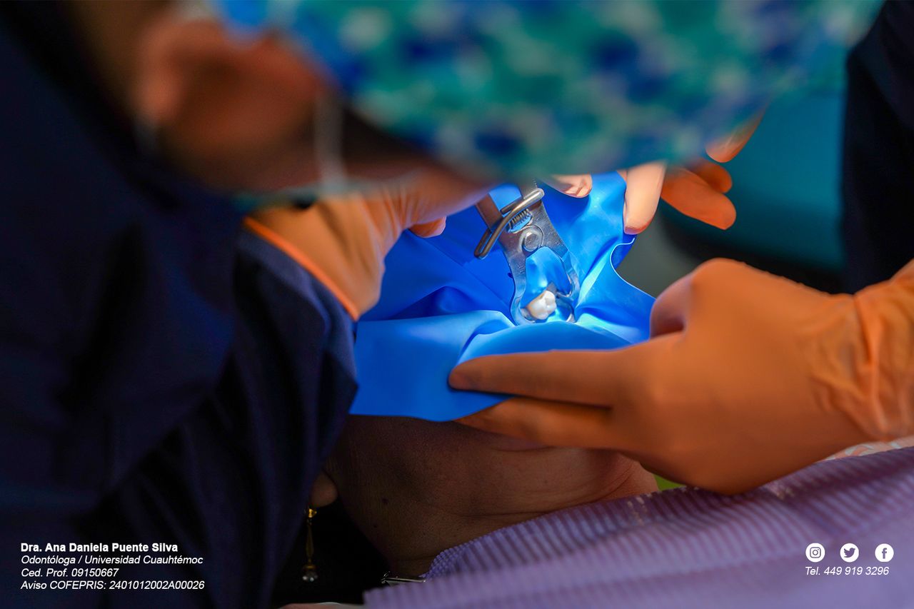 Ana Daniela Puente Silva-17