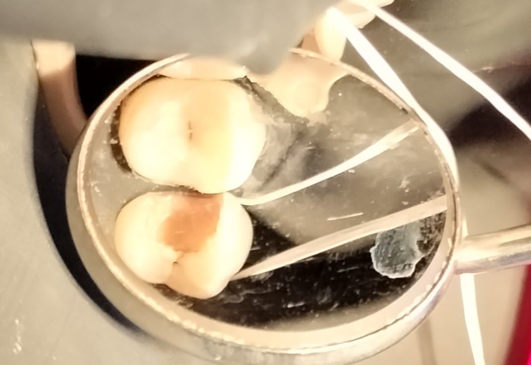 Yaneth Gutiérrez Sánchez-13