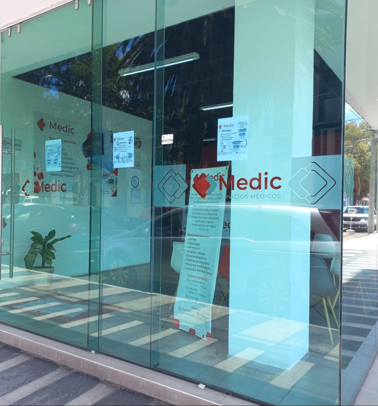 Ma. Carmen Herrera-7