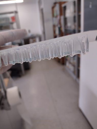 Marion Pearl Cobian-16