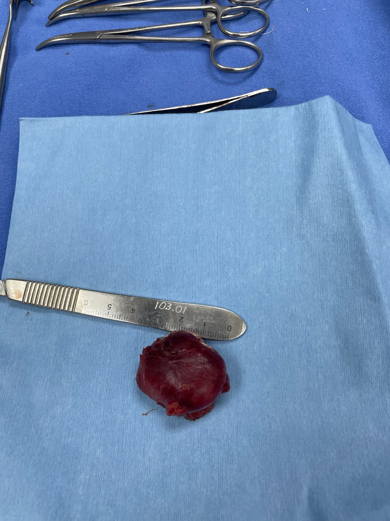 Martin Alberto Hernandez Cardenas-17