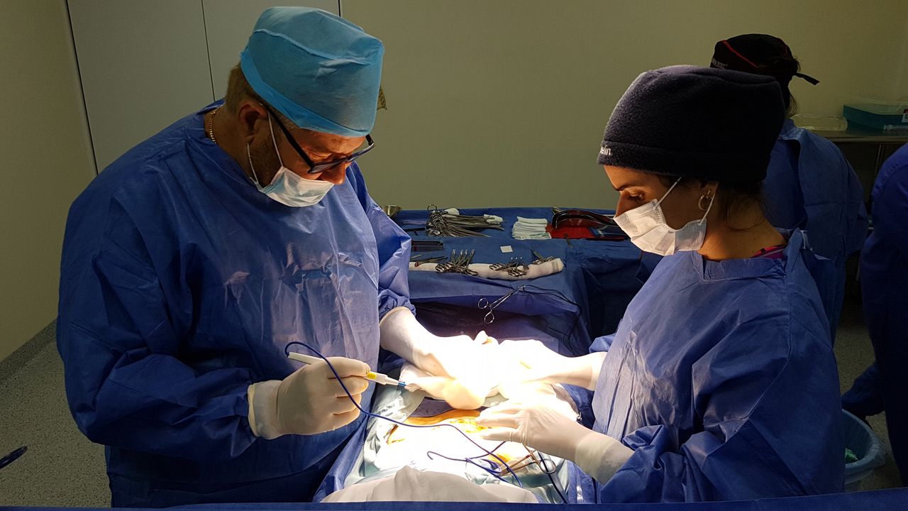 Yudeisy Olivera Gil-17