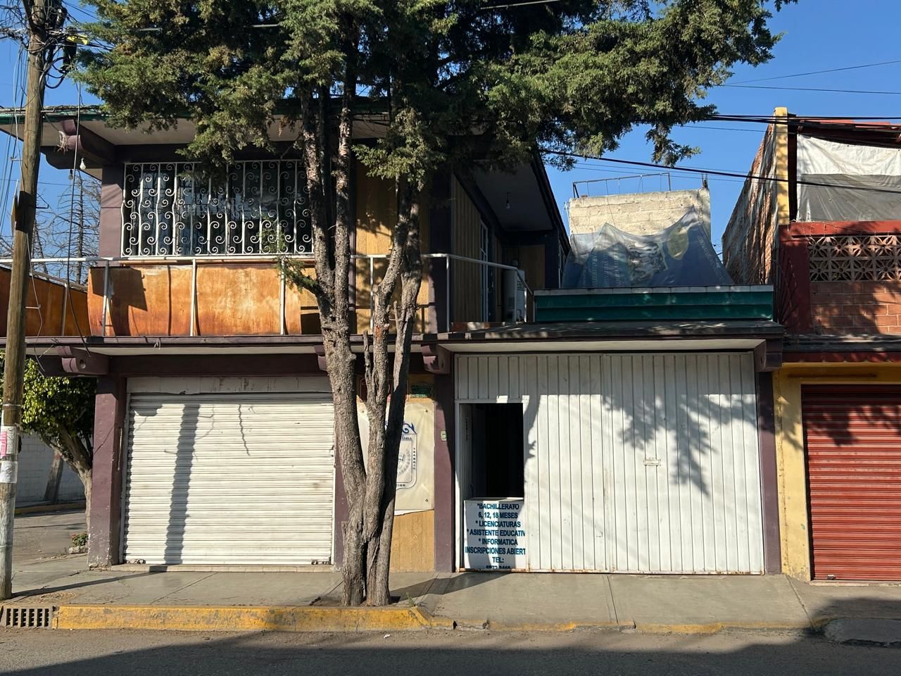 Paulina Lizethe Mojarro Martínez-3