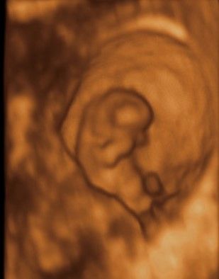 Erika Karina Fuentes Gutiérrez-8