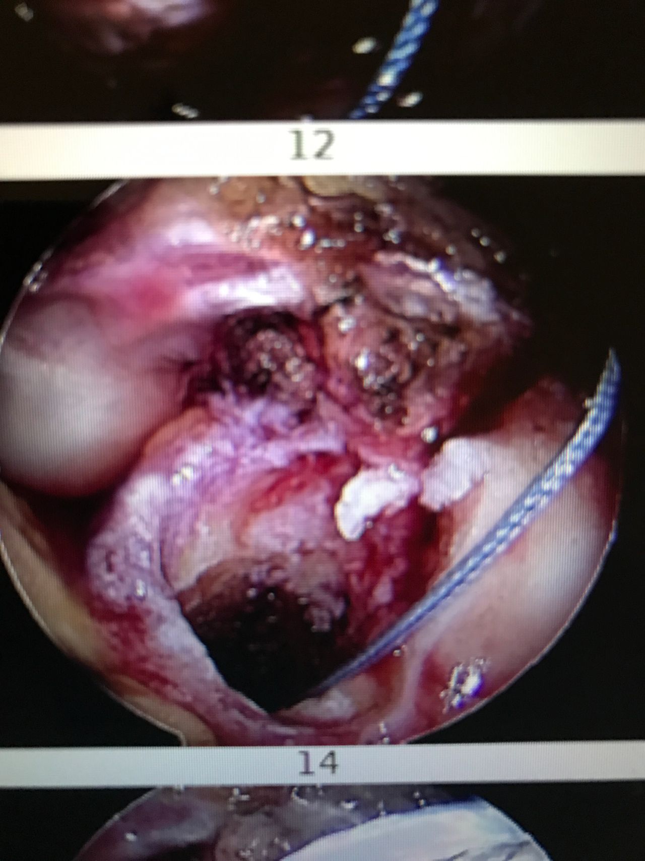 Juan Manuel Viruega Avalos-14