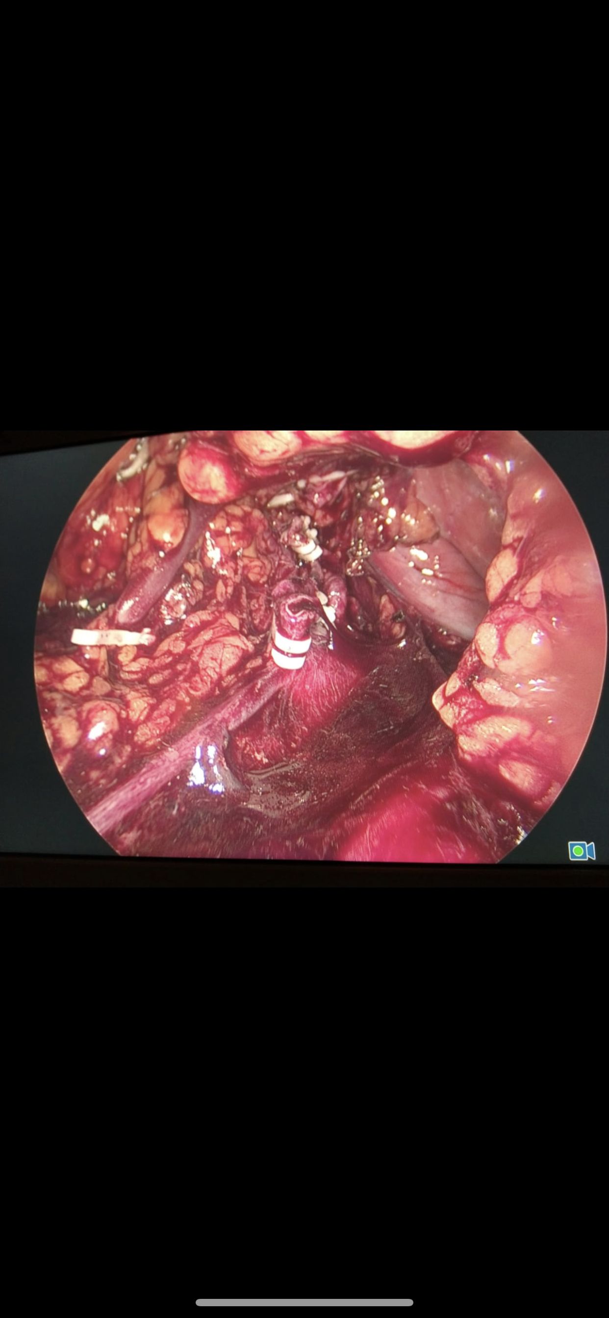 Enrique Hans Mues Guizar-10