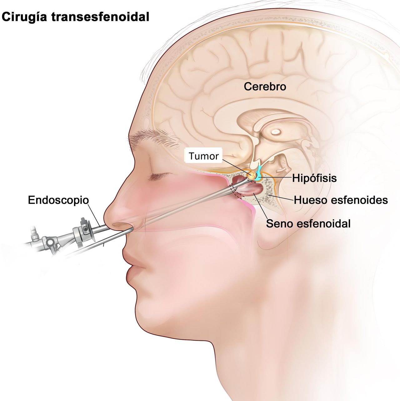 Roberto Gomez Raygoza-13