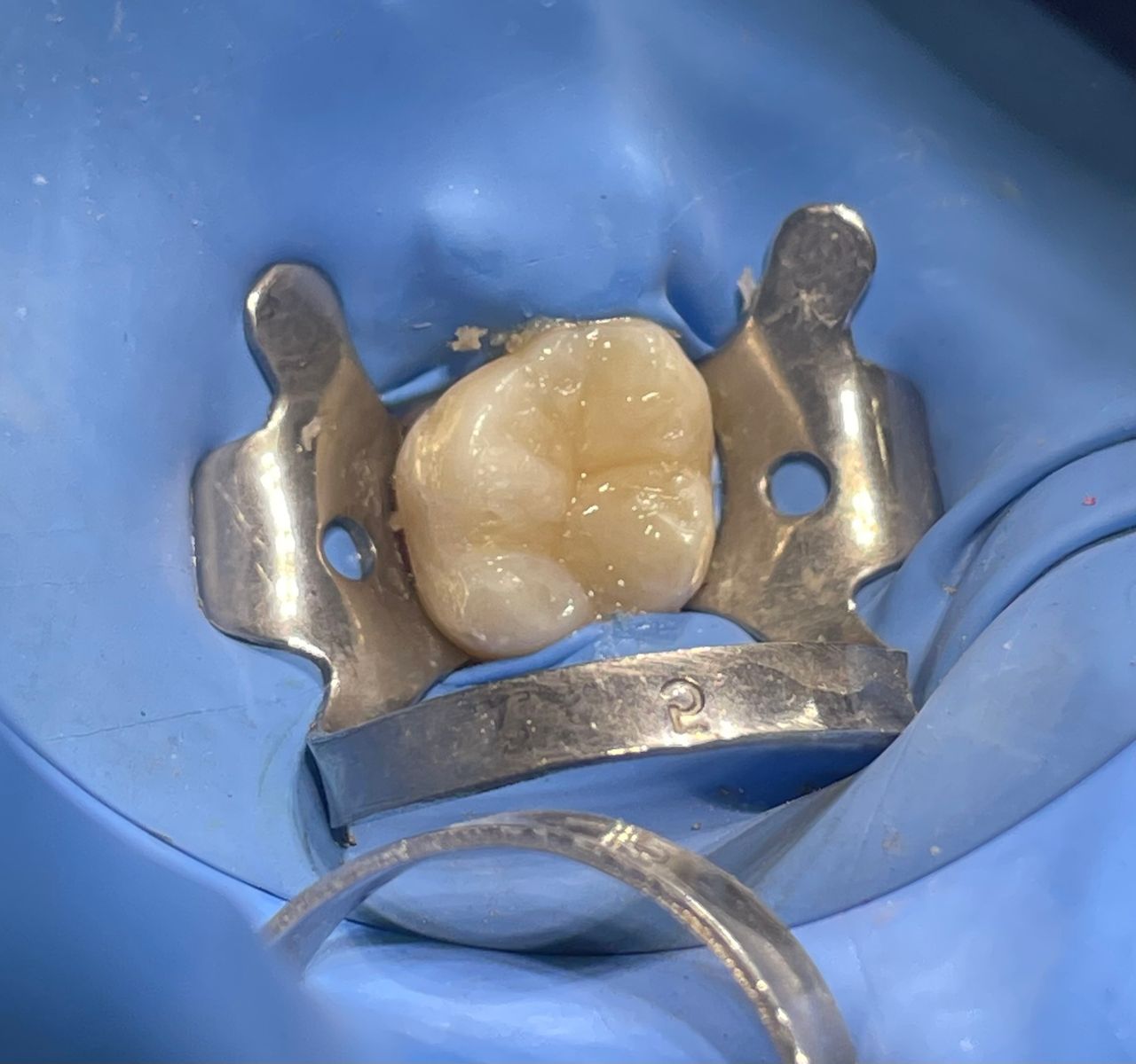 Luis Ernesto Calva Valdez-8