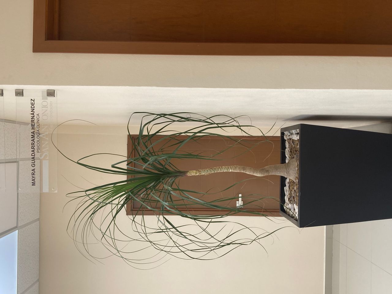 Mayra Guadarrama Hernandez-3