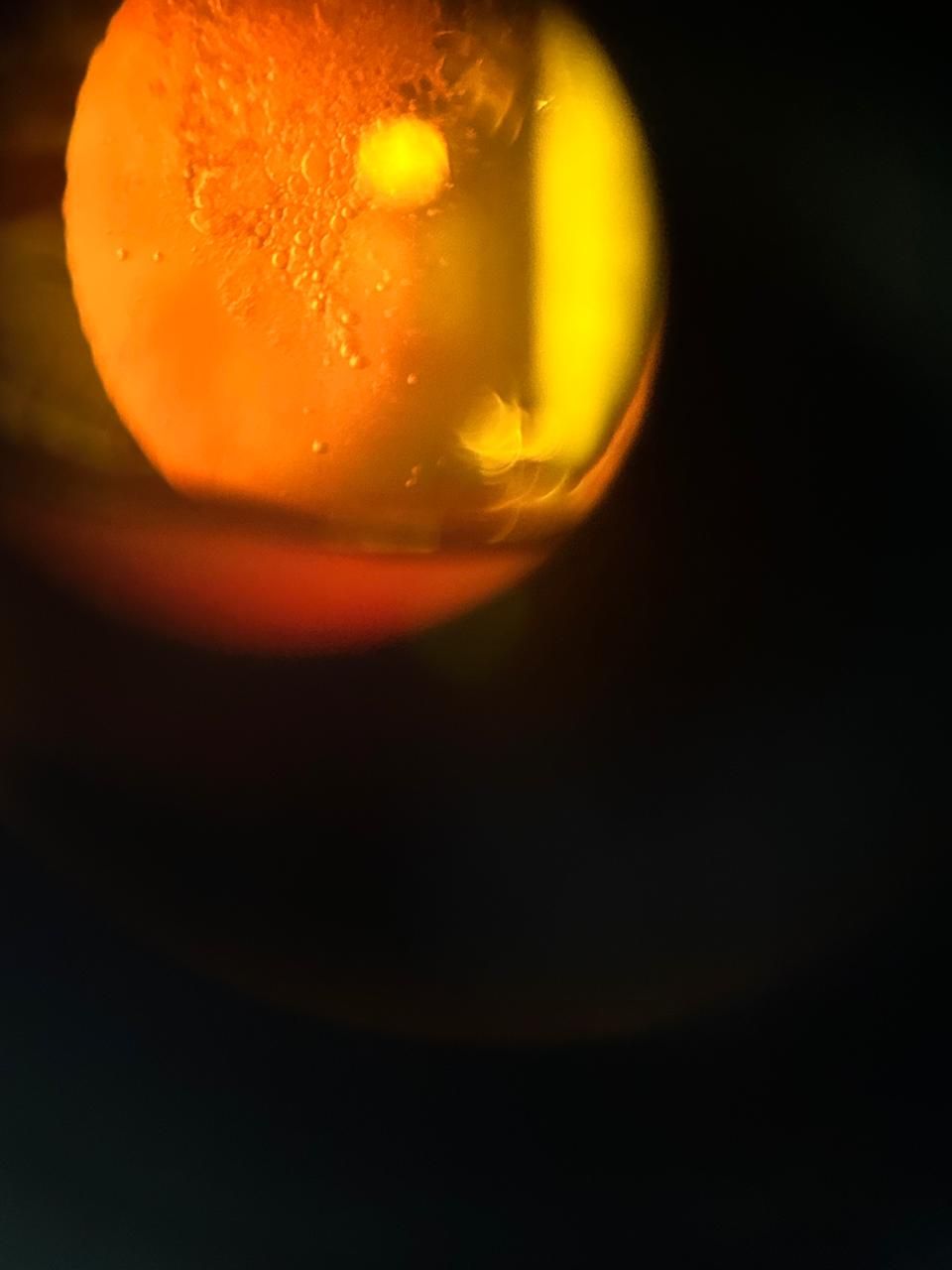 Daniel Martin Laguna Muñoz-63