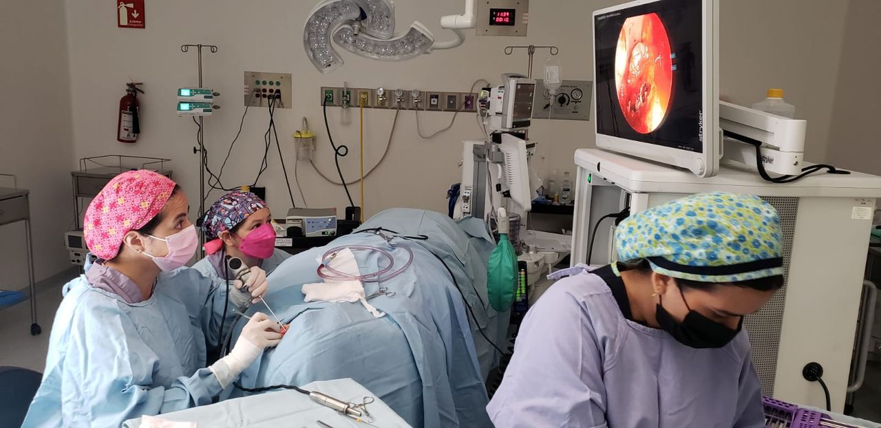 Anabel Sandoval De La Fuente-4