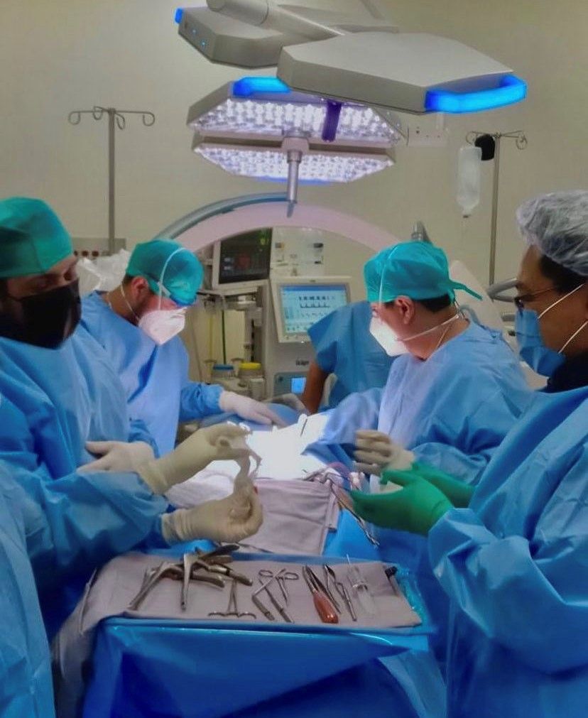 César Alejandro Moreno Palapa-9