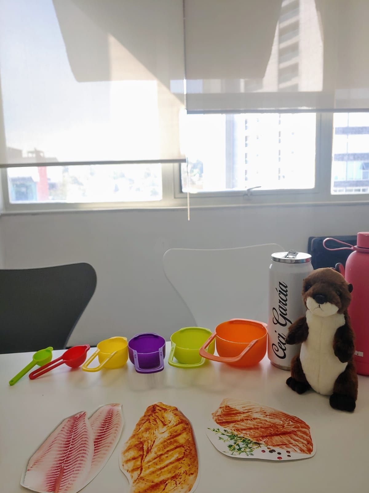 Cecilia García Olvera-6