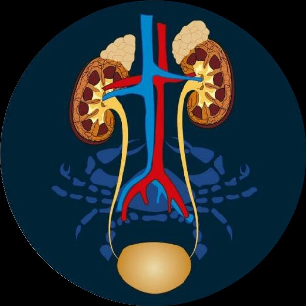 Emmanuel López Méndez-2