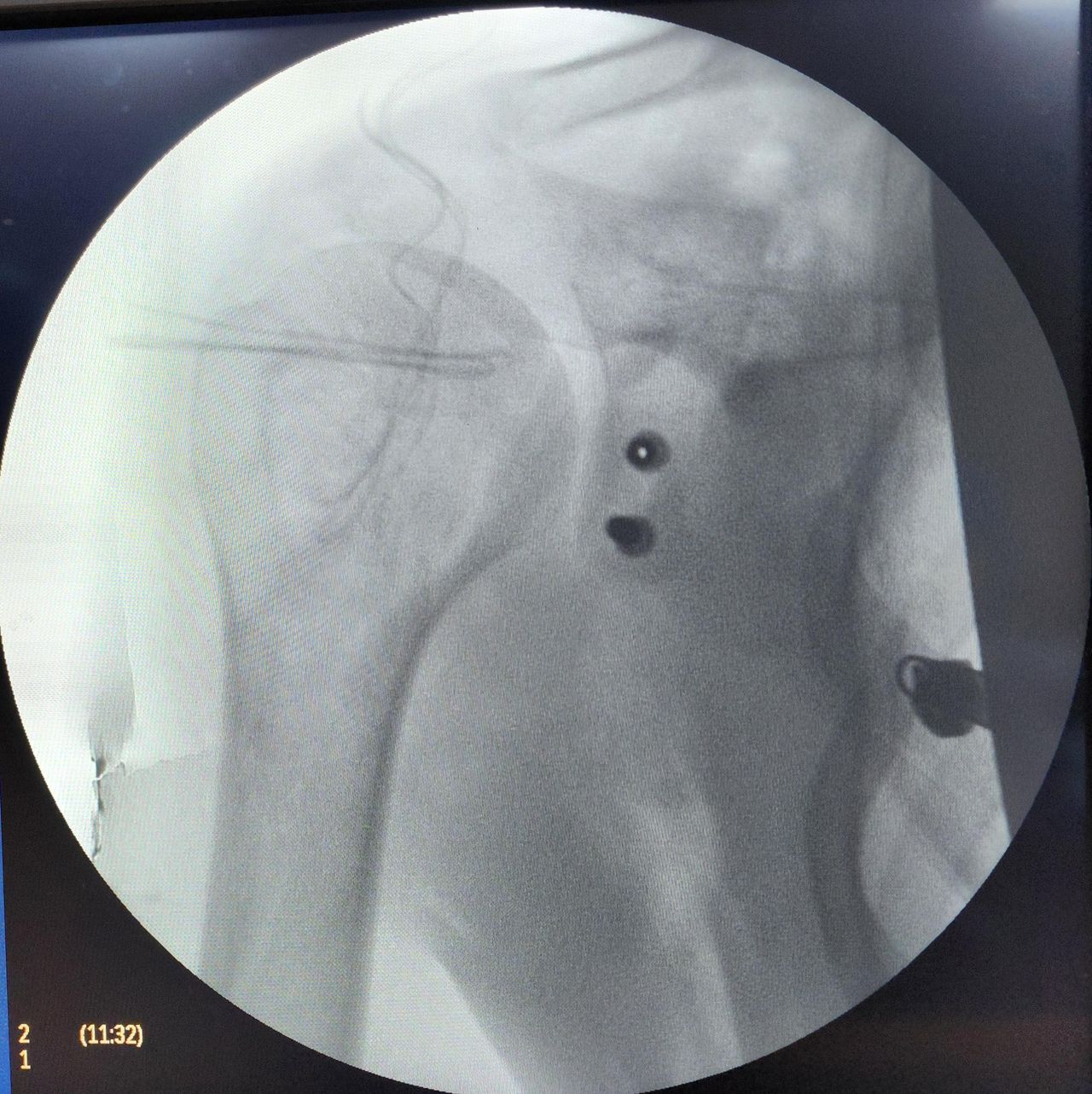 David Peña Hernández-1