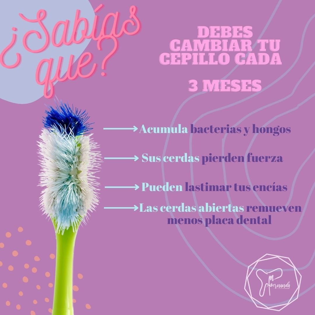 Maria Fernanda Morales Hernandez-15