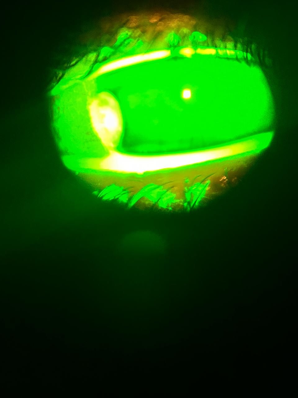 Daniel Martin Laguna Muñoz-21