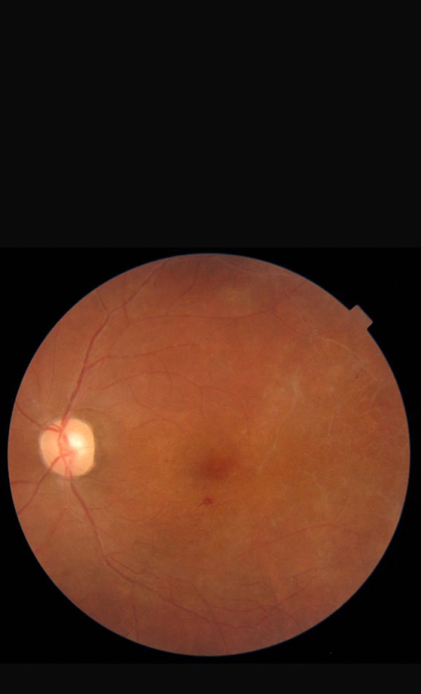 Miguel Angel Cano Quevedo-3