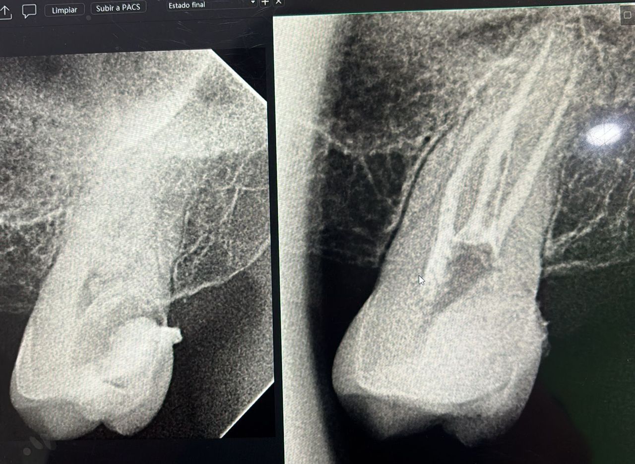 Roberto Diez Rodríguez-1