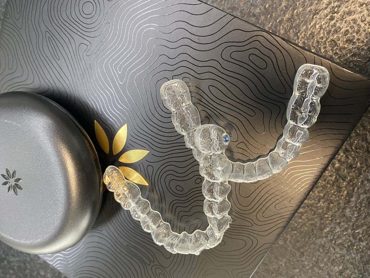 Adriana Ascanio Inciarte-0