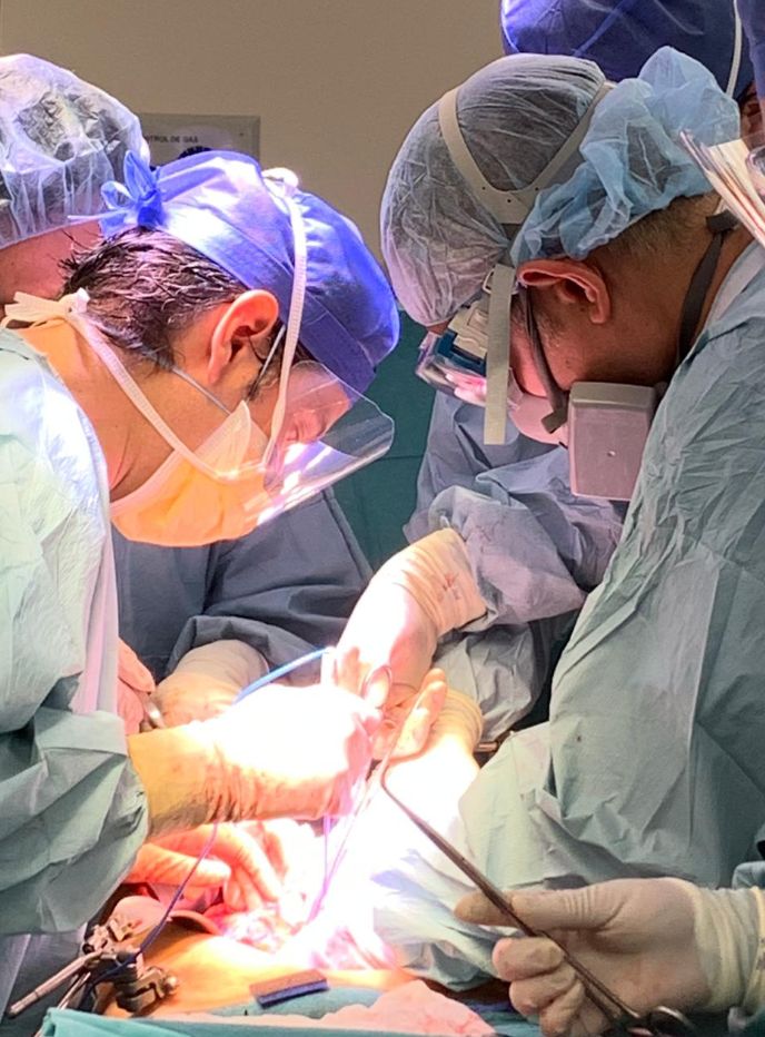 Fernando Cordera González De Cosío-4