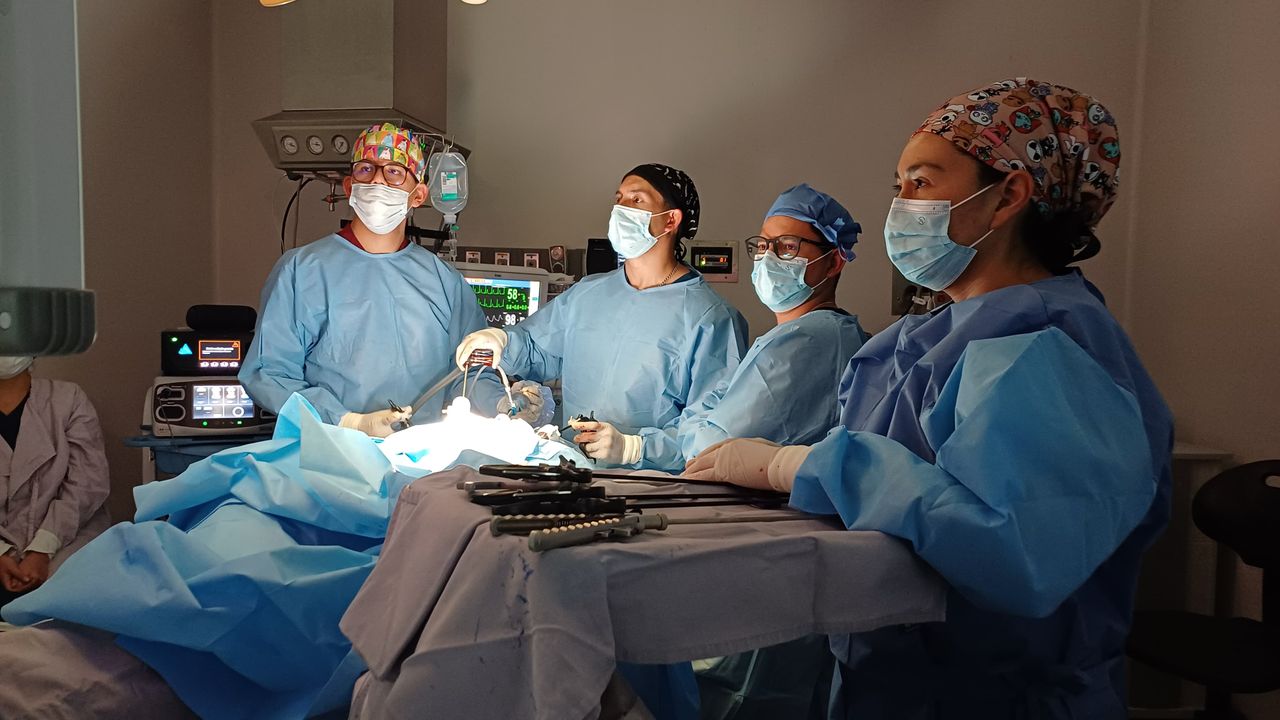 Alfonso Ortega Hernandez-3