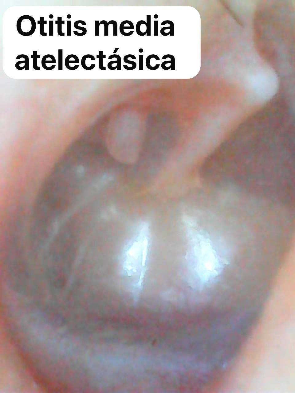 Nuria Esperanza Boronat Echeverria-19