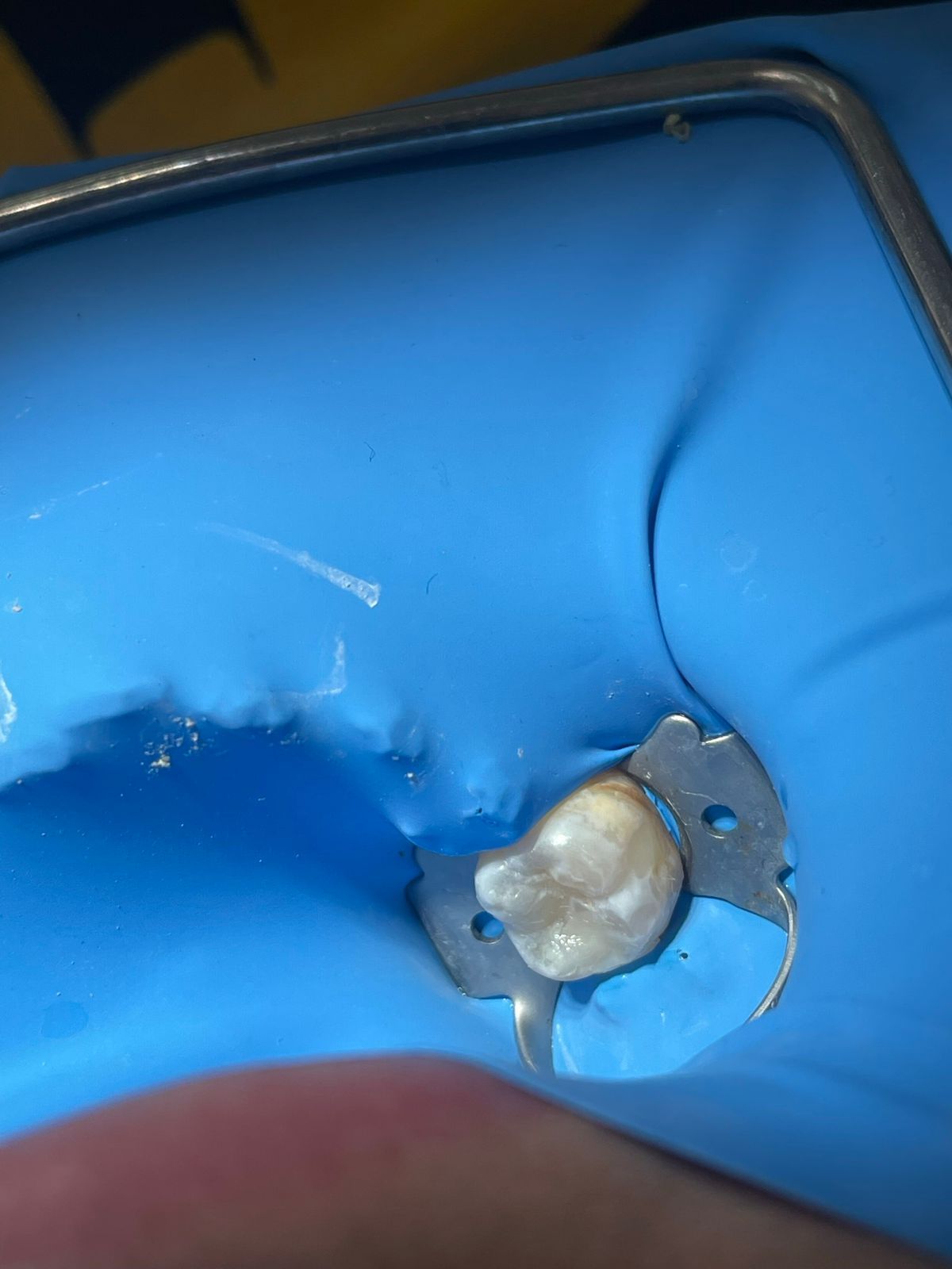 Valeria Muñoz Balboa-2