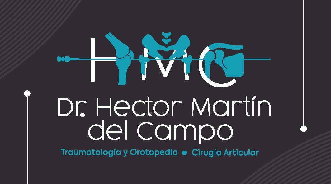 Hector Javier Martin Del Campo Martinez-1