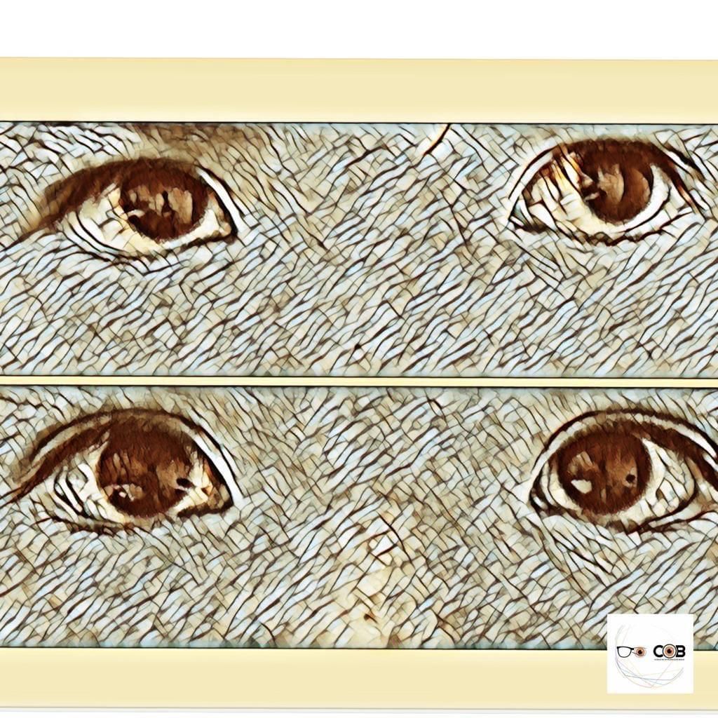 Araceli Borja Borja-1