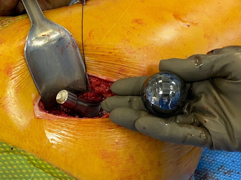 Gisela Cleto Zepeda-67