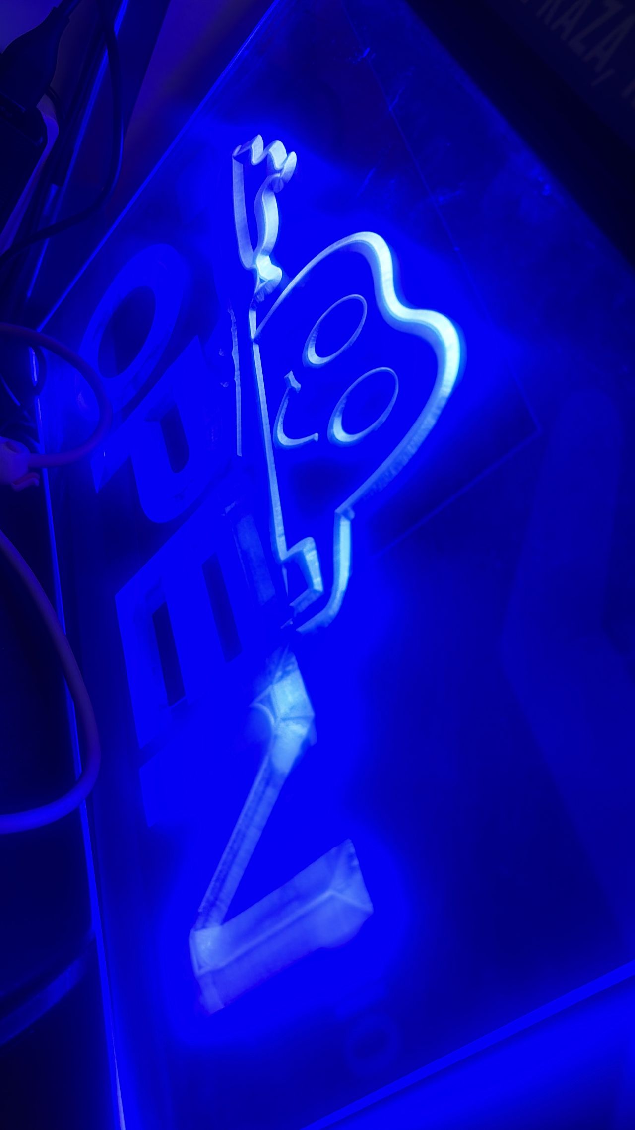 Alicia Araceli Navarro Burguete-16