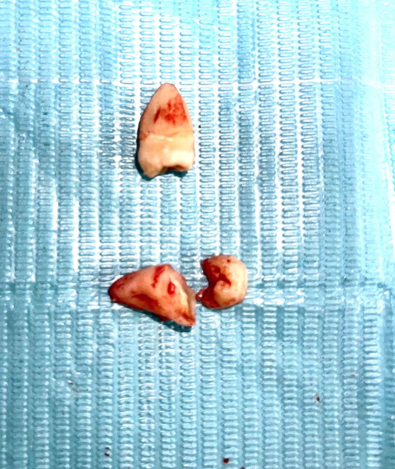 Alejandra Domínguez-3