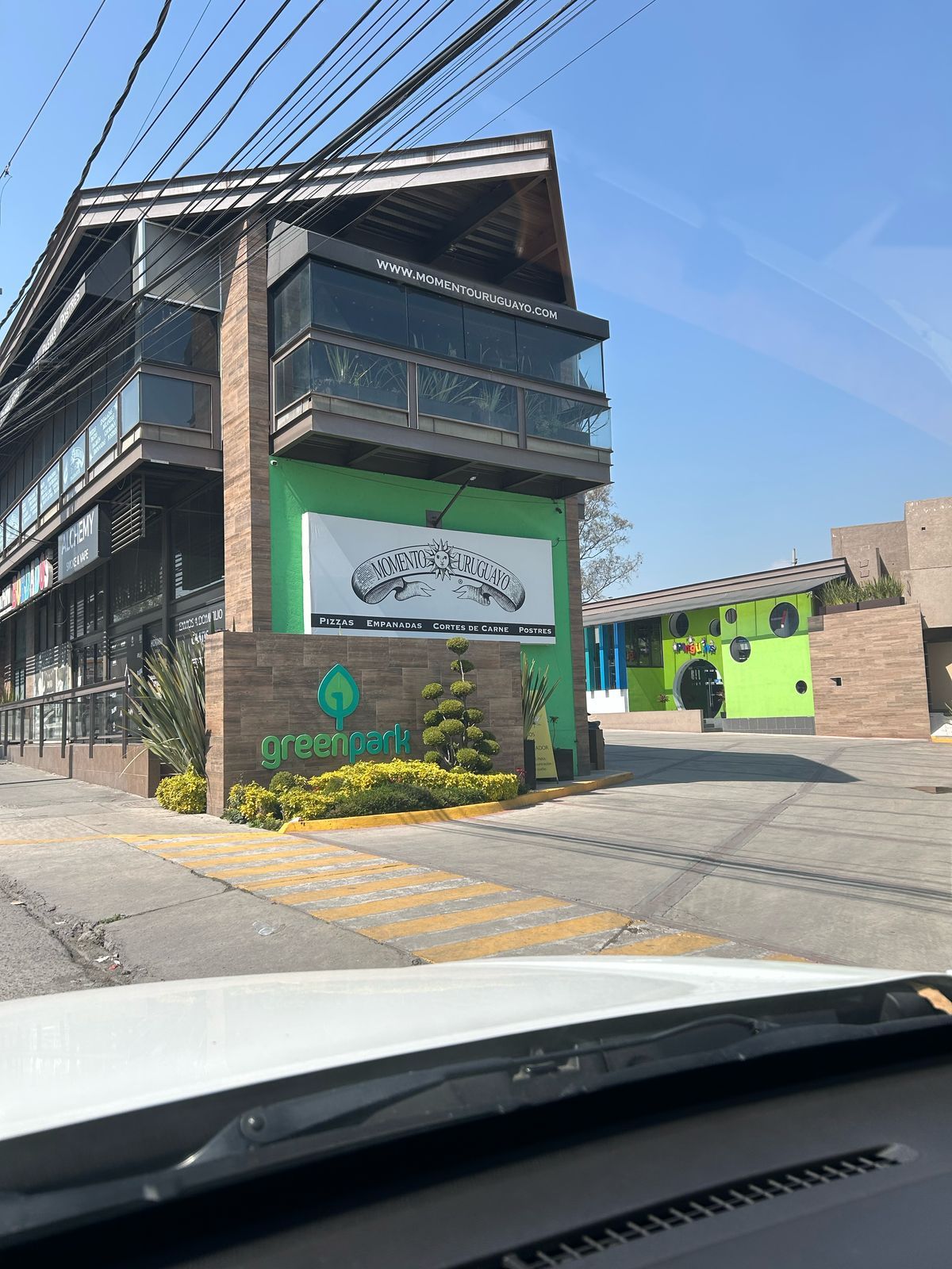 Adriana Negrete Villa-5