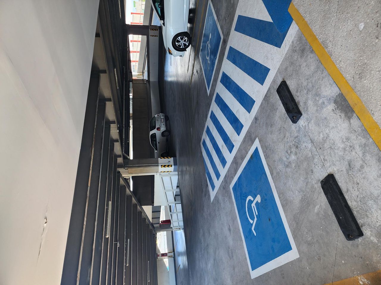 Luis Jaime Morales Liceaga-19