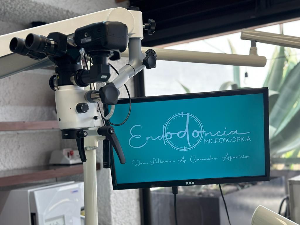 Liliana A. Camacho Aparicio-0