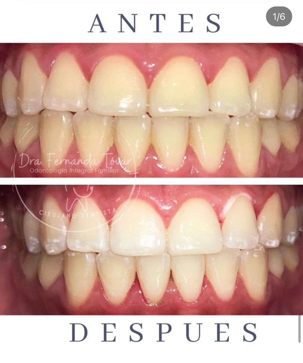 Fernanda Tovar Navarro-3