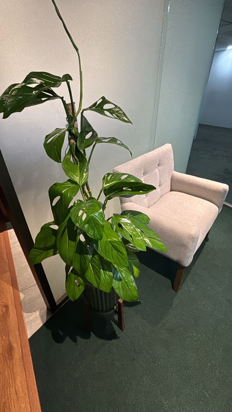 Rodrigo Soria García-2