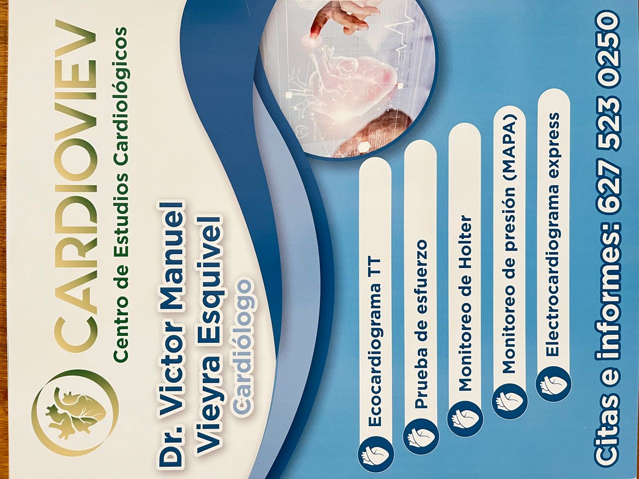 Victor Manuel Vieyra Esquivel-0