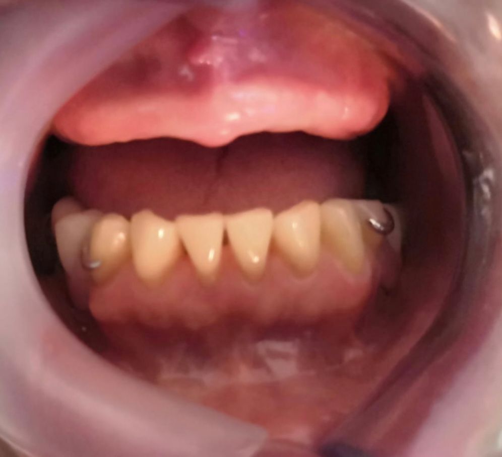 Alejandro Alcocer Flores-16