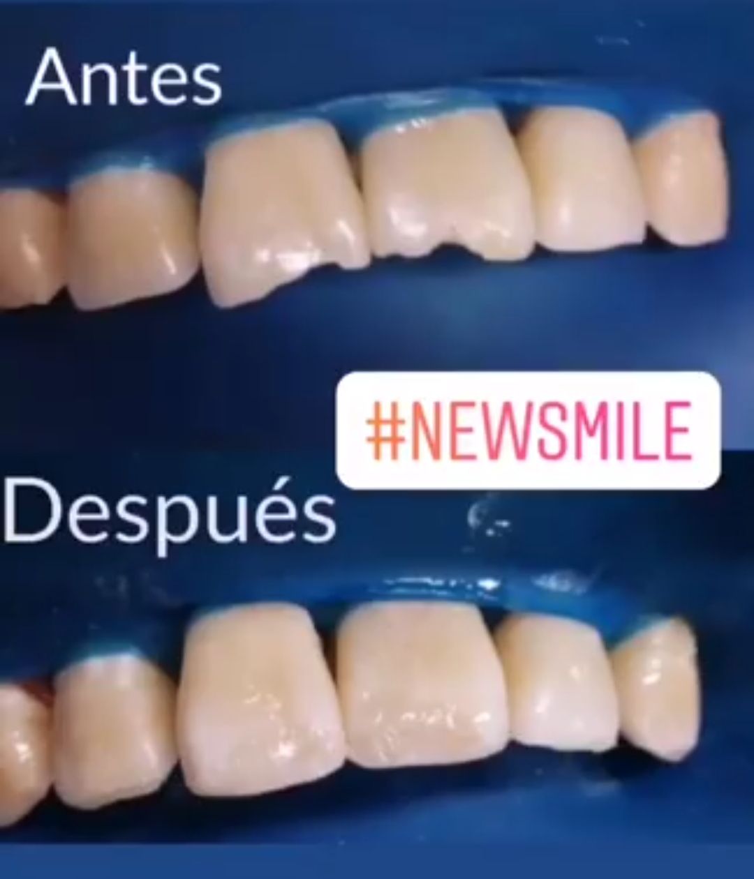 Margarita Estefania Parra Covarrubias-8