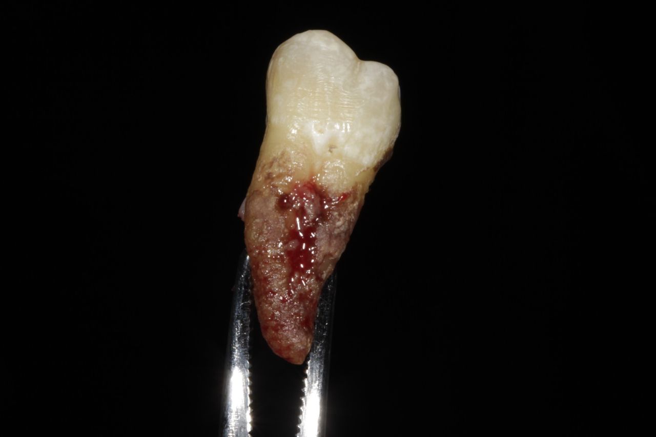 Israel Villarroel Cordoba-3