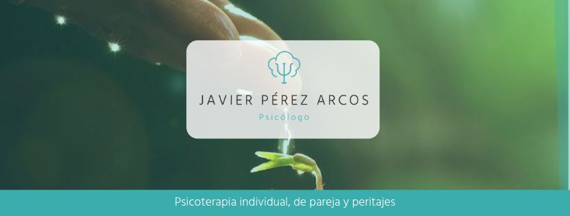 Francisco Javier Pérez Arcos-7