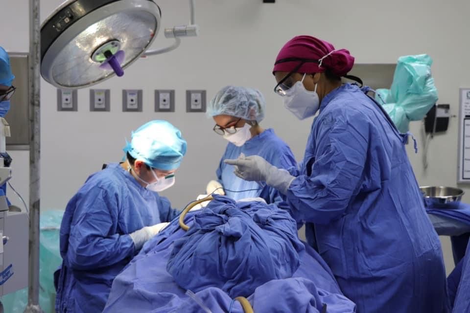 Francisco Leonel Mendoza Hernández-1