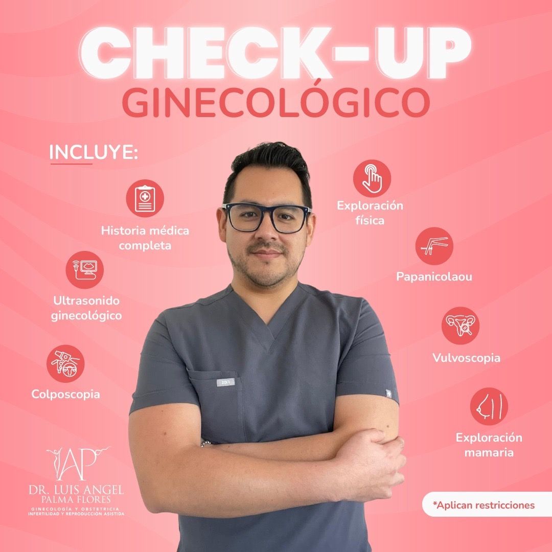 Luis Angel Palma Flores-1