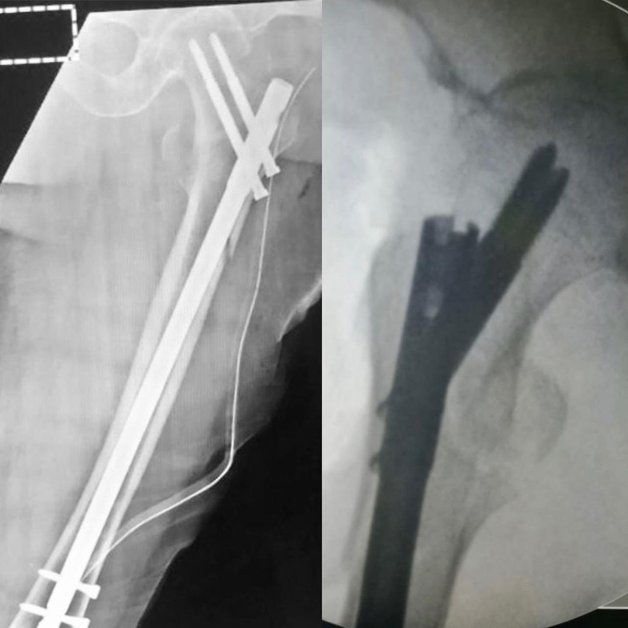 Guillermo Fernández De Lara Guevara-1