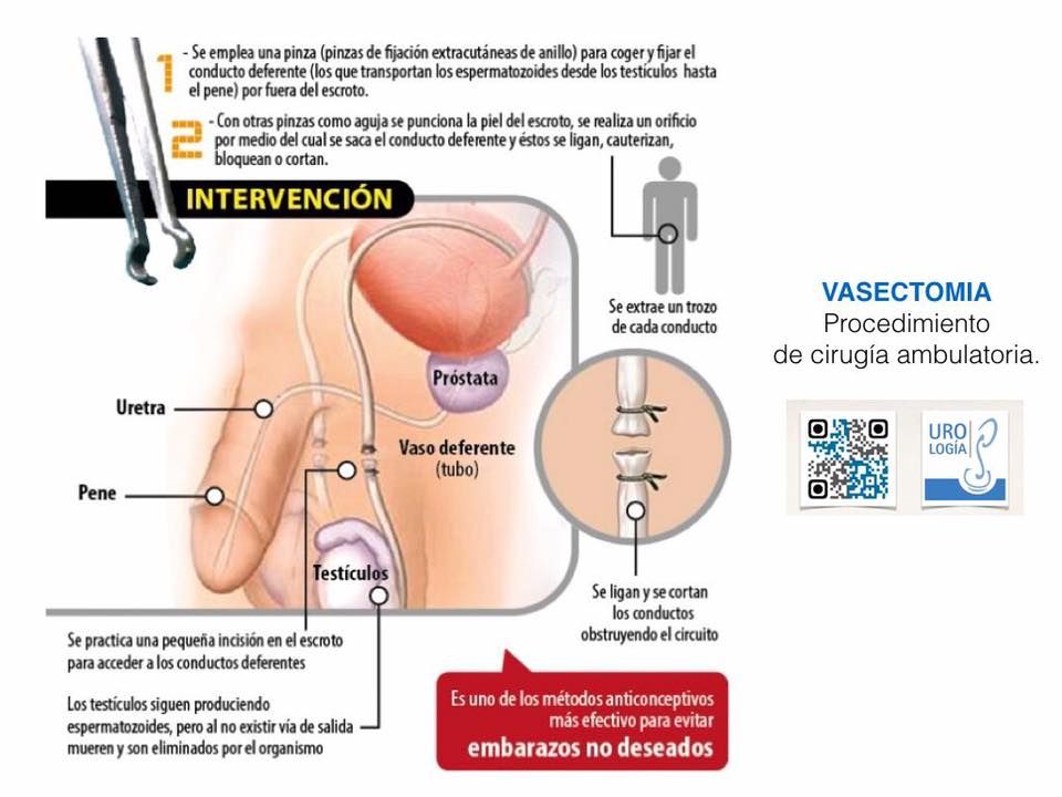 Mauricio Cantellano Orozco-23
